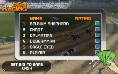 Скачать Crazy Dog Racing [ВЗЛОМ на деньги] v 2.2.9 для Андроид