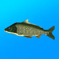 Реальная Рыбалка [ВЗЛОМ: Премиум] v 1.19.2.925