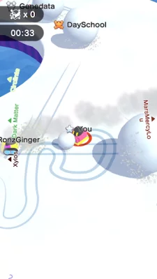 Snowball.io screenshot №5